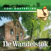 Omslag van De wandelstok