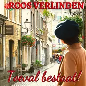 Omslag van Toeval bestaat!