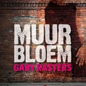 Omslag van Muurbloem