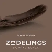 Omslag van Zijdelings