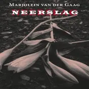 Omslag van Neerslag