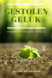 Omslag van Gestolen geluk