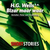 Omslag van Bizar maar waar
