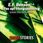 Omslag van Pas op! Hoogspanning!