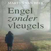 Omslag van Engel zonder vleugels