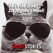 Omslag van Zit je goed? Mooi!