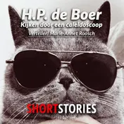 Omslag van Kijken door een kaleidoscoop