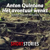 Omslag van Het avontuur wenkt