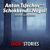 Omslag van Schokkend ... nogal!
