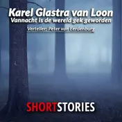 Omslag van Vannacht is de wereld gek geworden