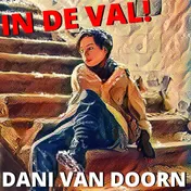 Omslag van In de val