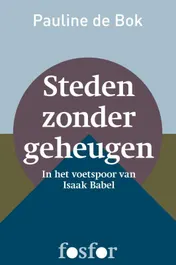 Omslag van Steden zonder geheugen