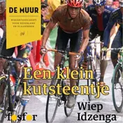 Omslag van Een klein kutsteentje