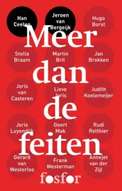 Omslag van Meer dan de feiten