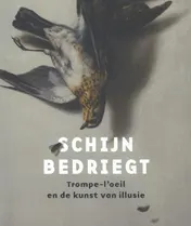 Omslag van Schijn bedriegt