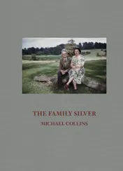 Omslag van The Family Silver