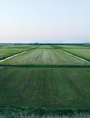Omslag van New Dutch Views