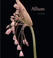 Omslag van Allium