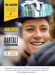 Omslag van De muur 79