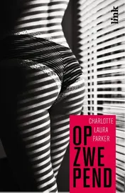 Omslag van Opzwepend