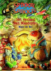 Omslag van Het verhaal van Mascopiro