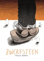 Omslag van Zwerfsteen