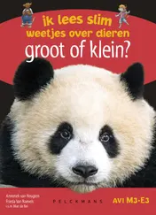 Omslag van Groot of klein?