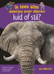 Omslag van Luid of stil?