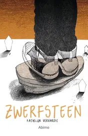 Omslag van Zwerfsteen