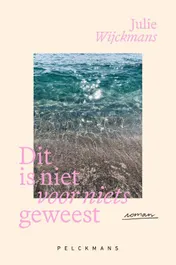 Omslag van Dit is niet voor niets geweest