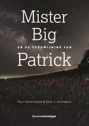 Omslag van Mister Big en de verdwijning van Patrick