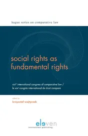 Omslag van Social rights as fundamental rights