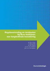 Omslag van Regelovertreding en incidenten bij Brzo-bedrijven