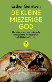 Omslag van De kleine miezerige god