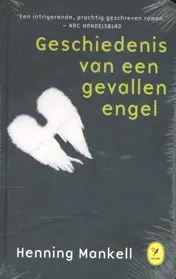 Omslag van De geschiedenis van een gevallen engel
