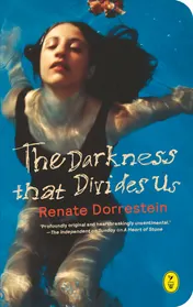 Omslag van The darkness that divides us