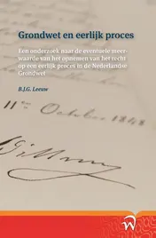 Omslag van Grondwet en eerlijk proces