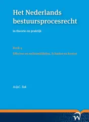 Omslag van Effecten en rechtsmiddelen, schaden en kosten