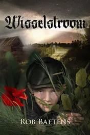 Omslag van Wisselstroom