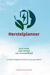 Omslag van Herstelplanner