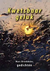 Omslag van Kwetsbaar geluk