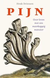 Omslag van Pijn
