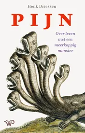 Omslag van Pijn