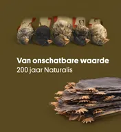 Omslag van Van onschatbare waarde