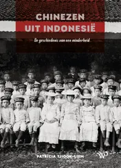 Omslag van Chinezen uit Indonesië