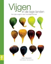 Omslag van Vijgen in de lage landen