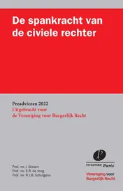 Omslag van De spankracht van de civiele rechter