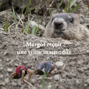 Omslag van Margot reçoit une visite inattendue