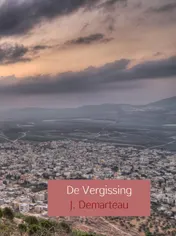 Omslag van De Vergissing