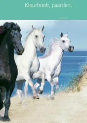 Omslag van Kleurboek, paarden.